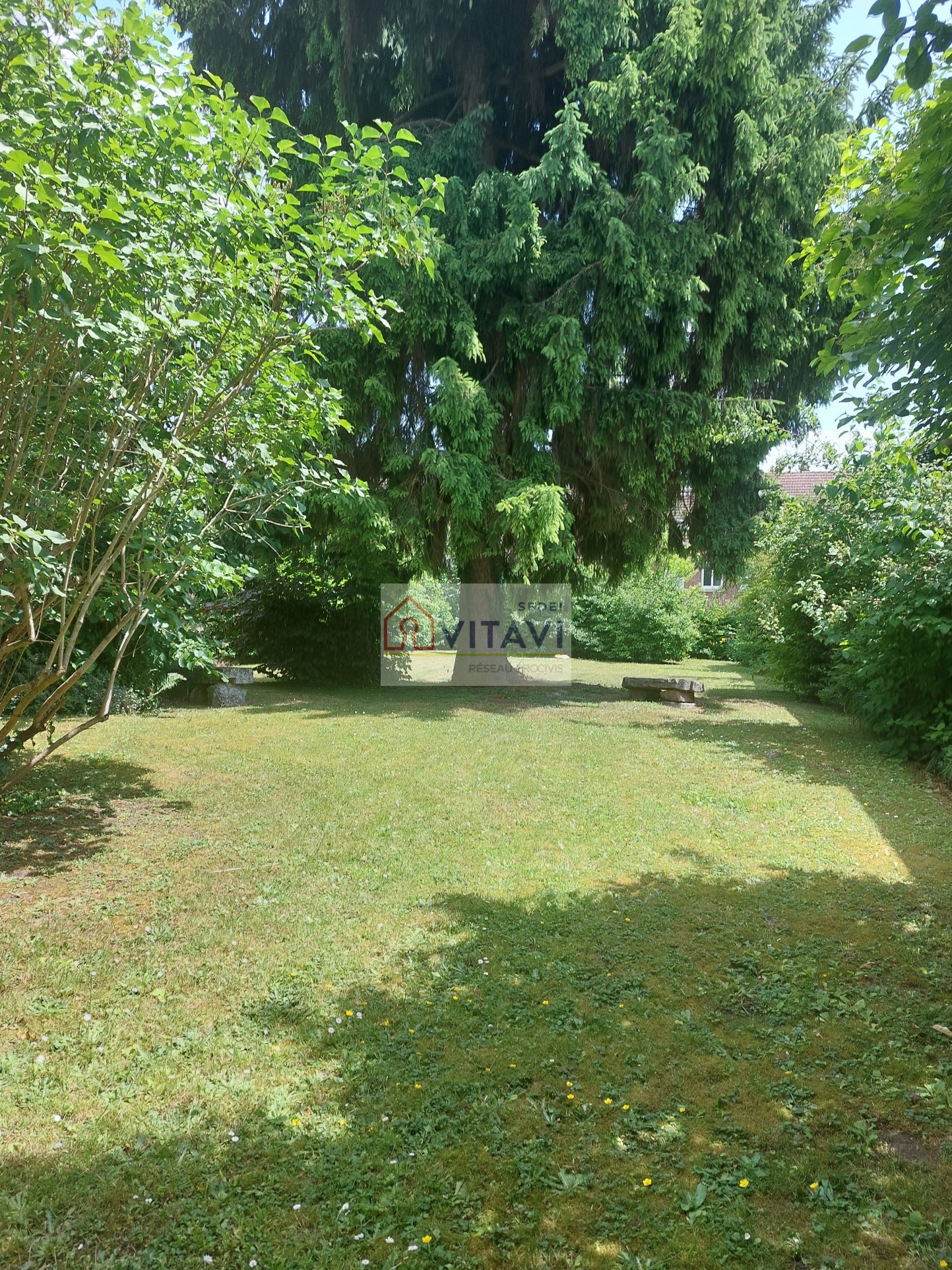 Image galerie