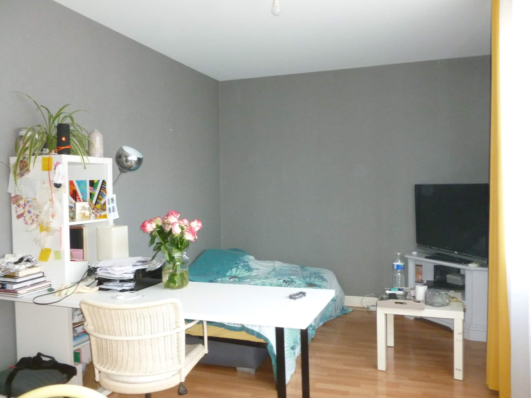 Image galerie