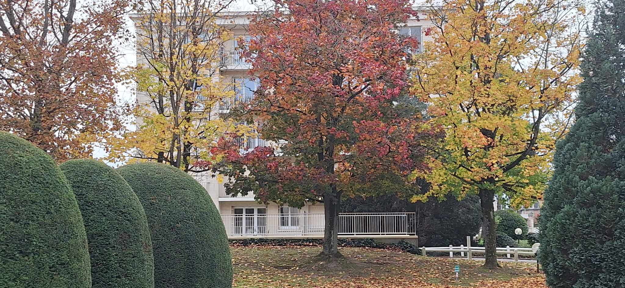 Image galerie