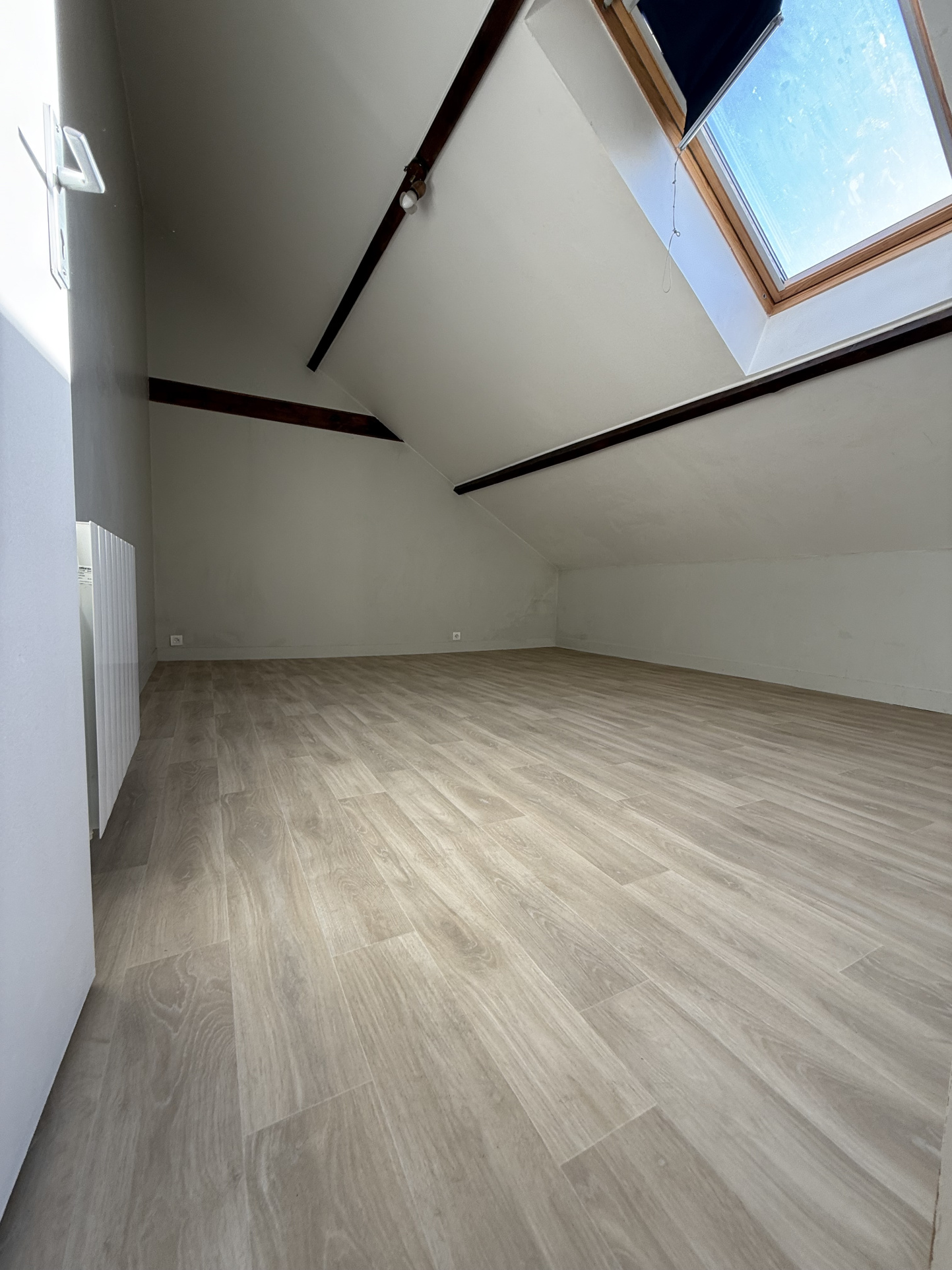 Image galerie