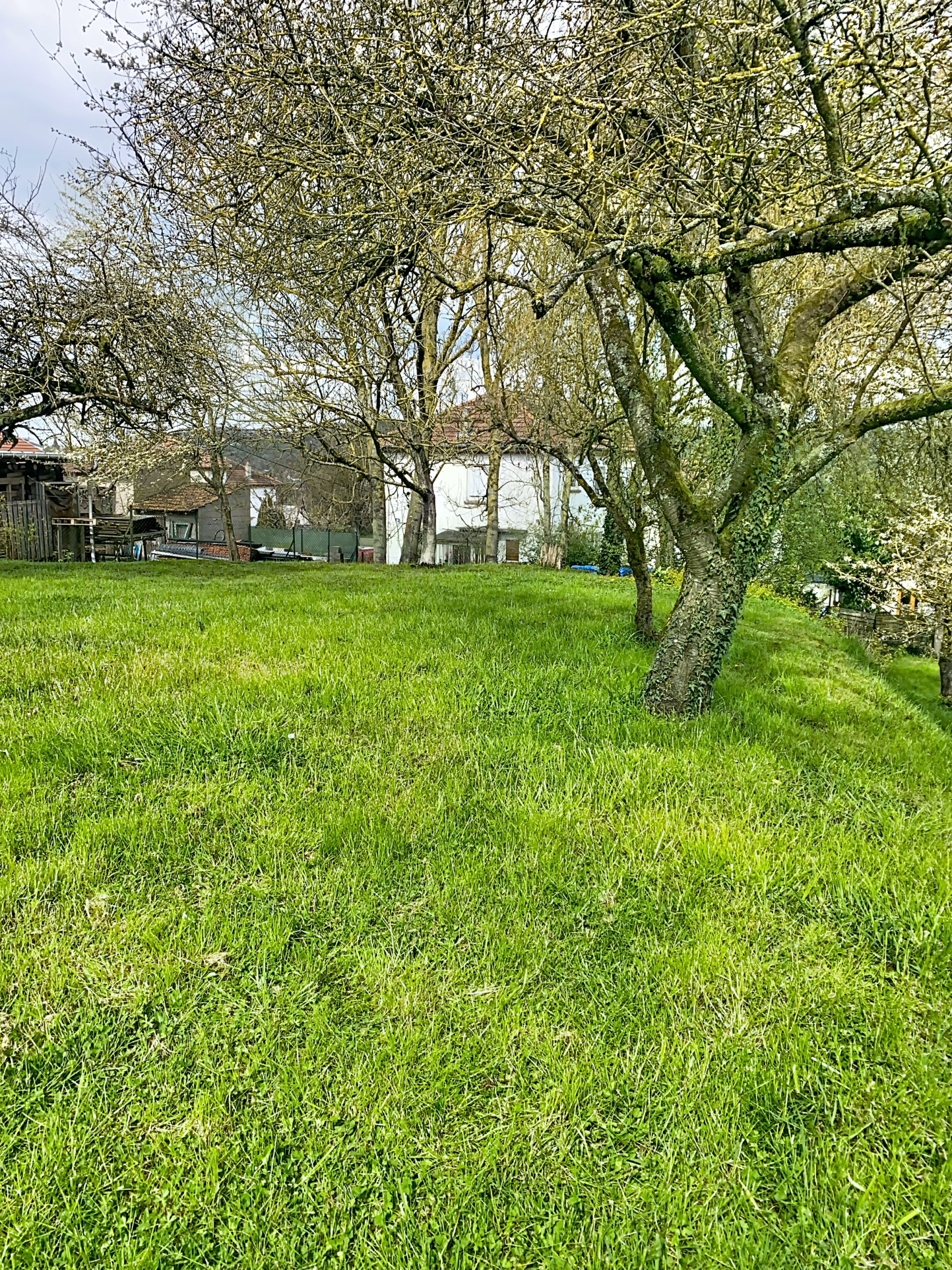 Image galerie