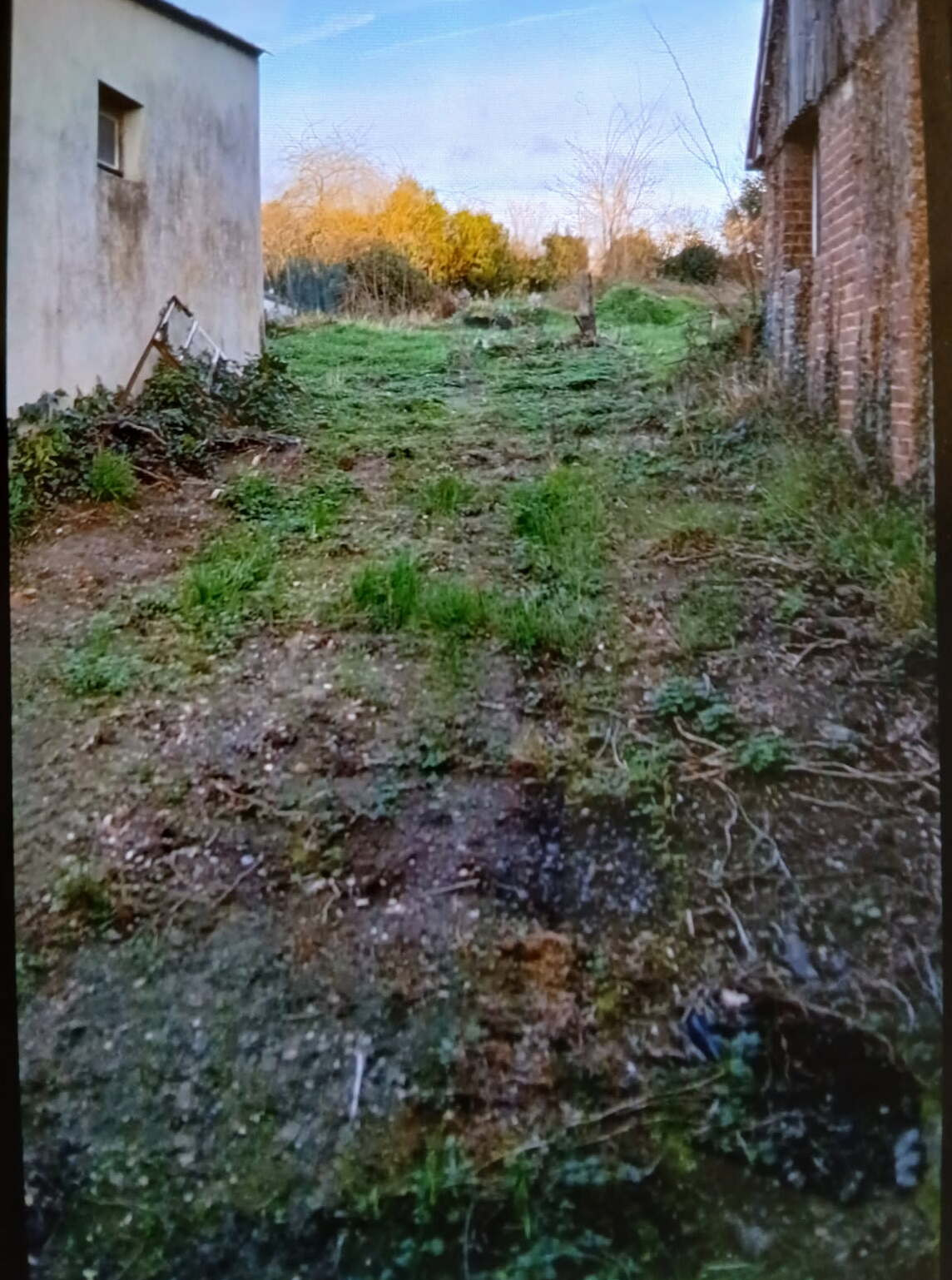 Image galerie